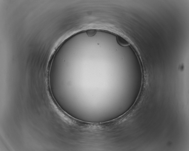 X0000115771525200911271128