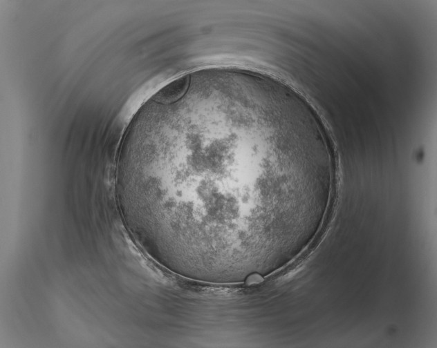 X0000115771529200911271128