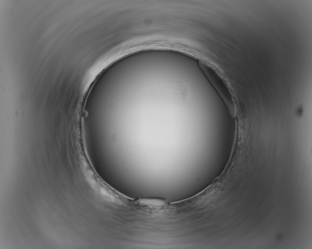 X0000115771530200911271128