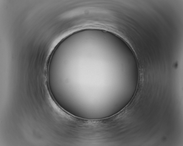 X0000115771531200911271128