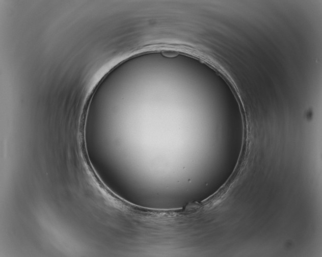 X0000115771533200911271128