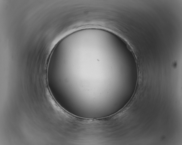 X0000115771534200911271128