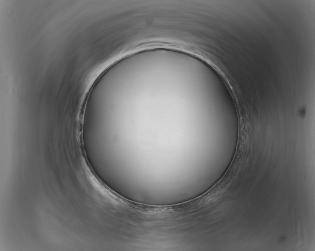 X0000115771535200911271128