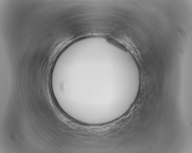 X0000115770001200912041441