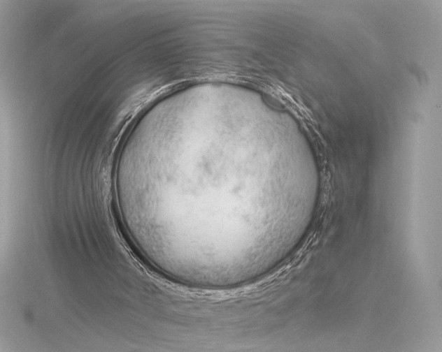 X0000115770002200912041441