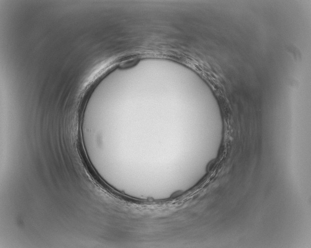 X0000115770005200912041441