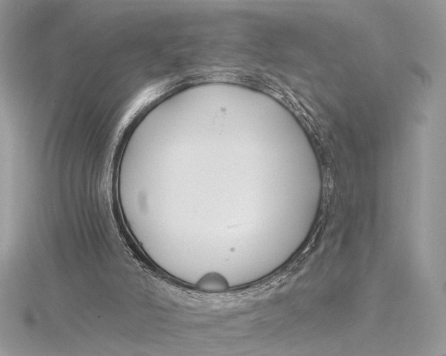 X0000115770006200912041440