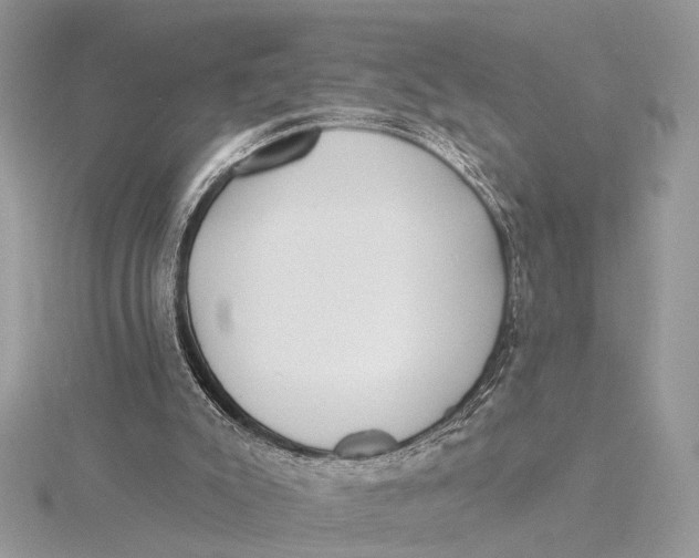 X0000115770007200912041440