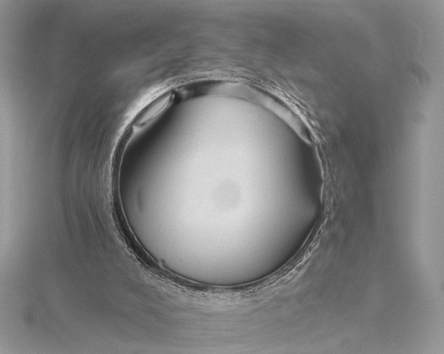 X0000115770008200912041440