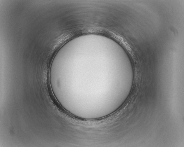 X0000115770010200912041440