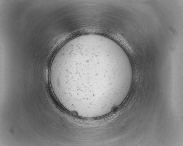 X0000115770014200912041440