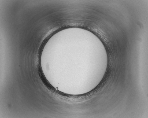 X0000115770016200912041440