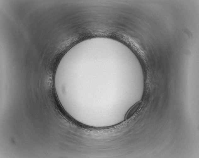 X0000115770017200912041440