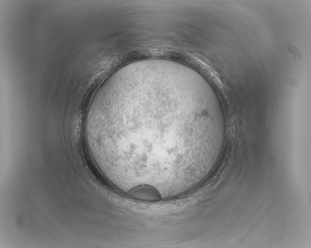 X0000115770018200912041440