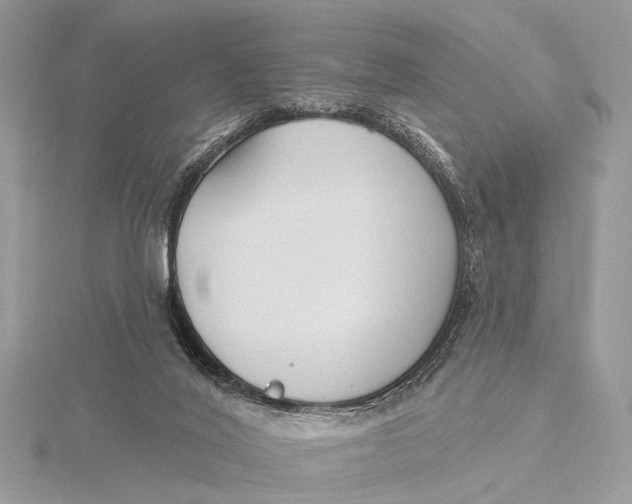 X0000115770020200912041440