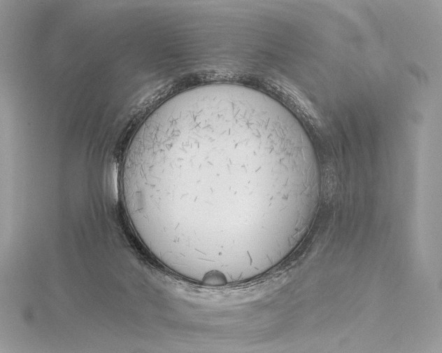 X0000115770022200912041440