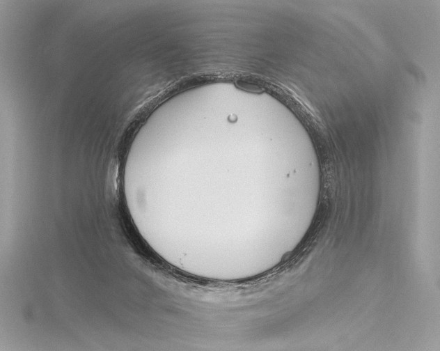 X0000115770024200912041440