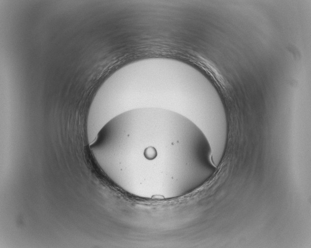 X0000115770025200912041440