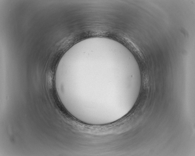 X0000115770026200912041440