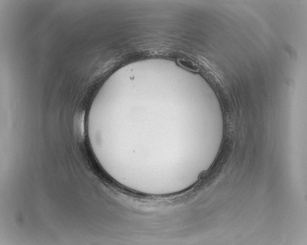 X0000115770028200912041440