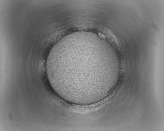 X0000115770029200912041440