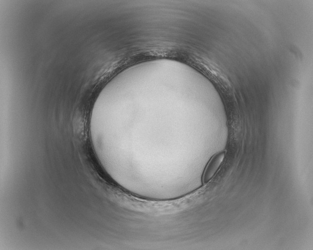 X0000115770031200912041440