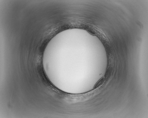 X0000115770033200912041440