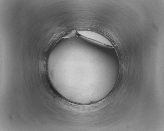 X0000115770035200912041440