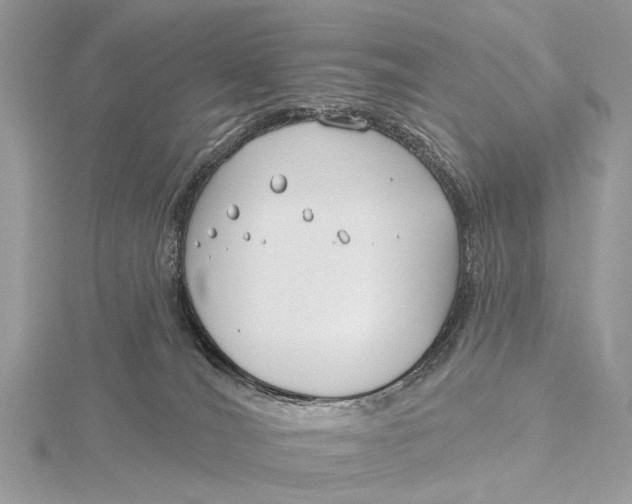 X0000115770036200912041440