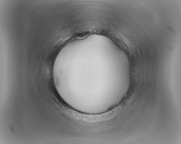 X0000115770039200912041440