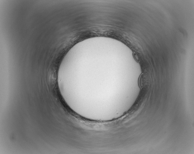 X0000115770040200912041440