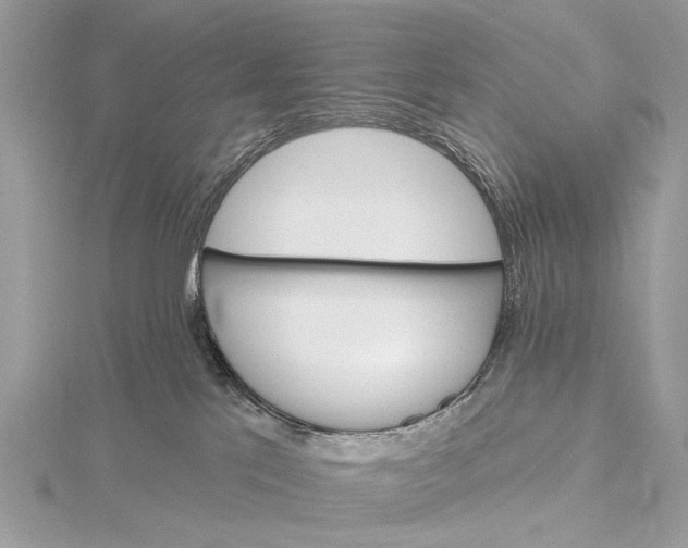 X0000115770041200912041440