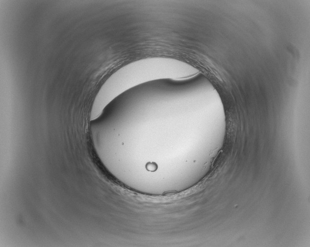 X0000115770043200912041440