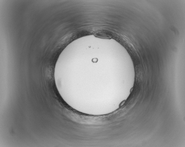 X0000115770044200912041440