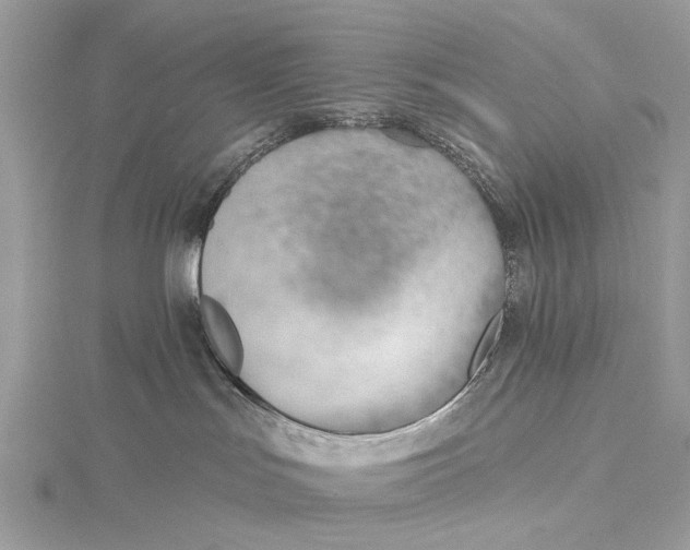 X0000115770047200912041440