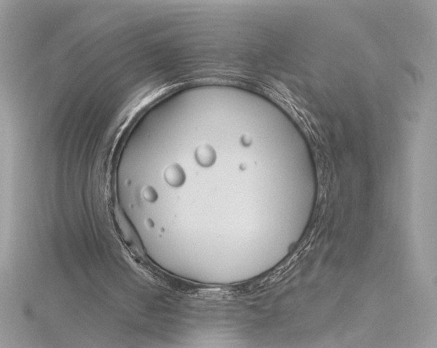 X0000115770050200912041439