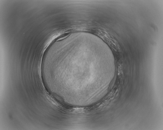 X0000115770052200912041439