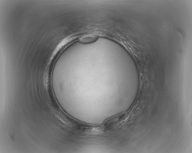 X0000115770056200912041439