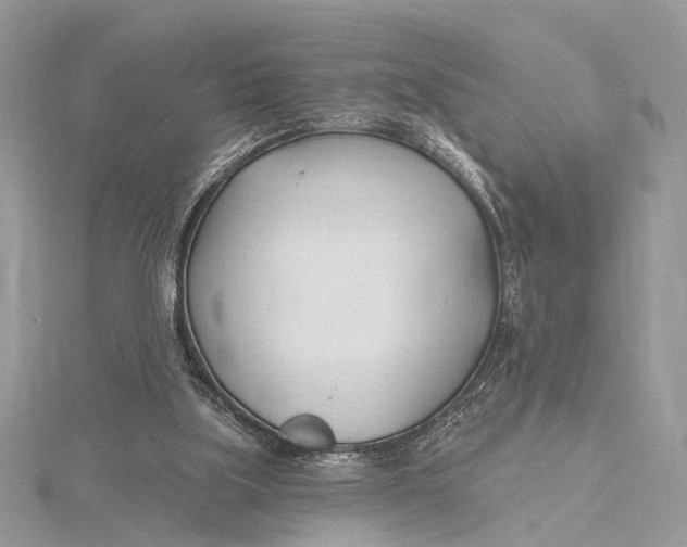 X0000115770059200912041439