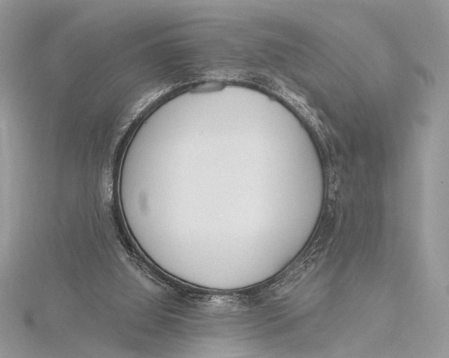 X0000115770060200912041439