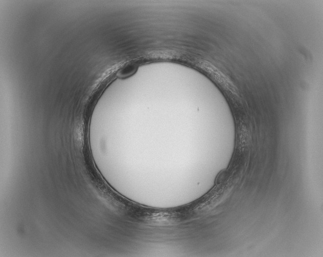 X0000115770064200912041440