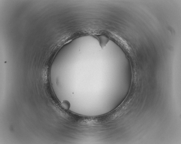 X0000115770065200912041440