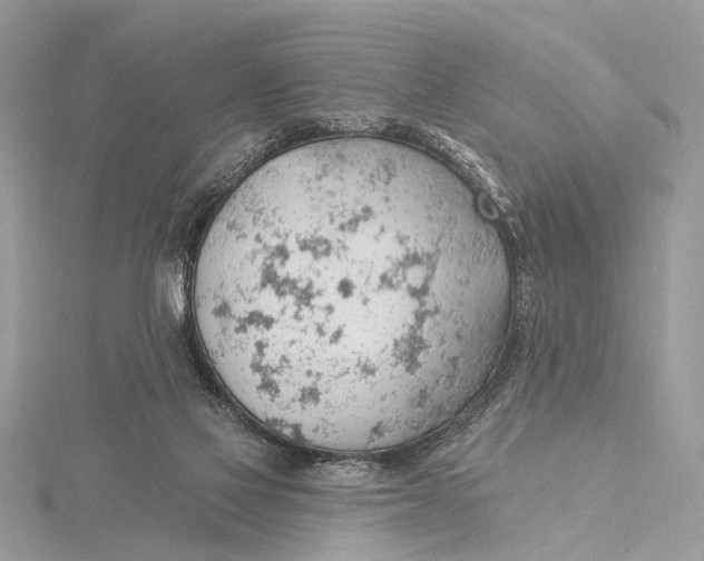 X0000115770069200912041440