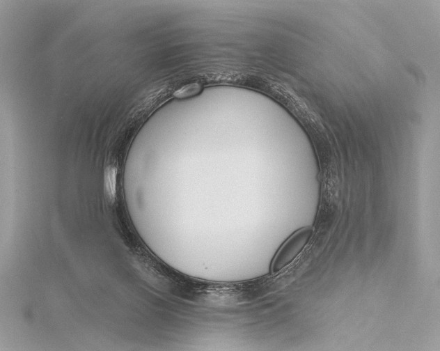 X0000115770070200912041440