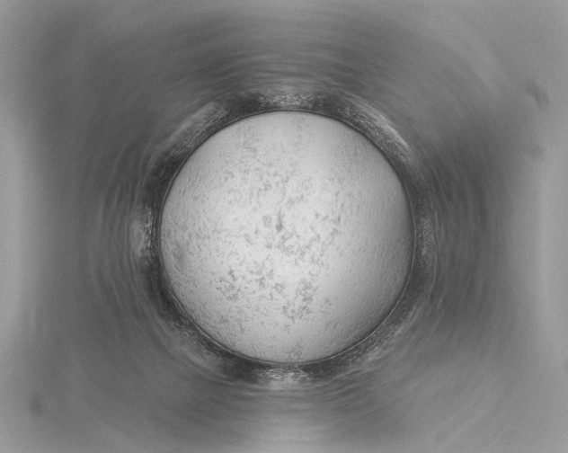 X0000115770073200912041440