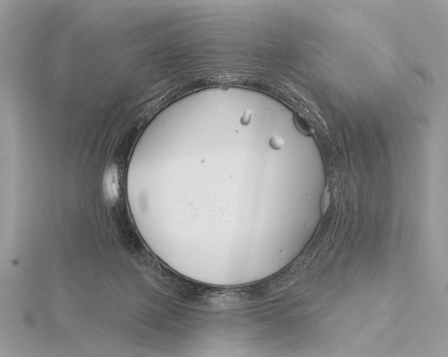 X0000115770075200912041440