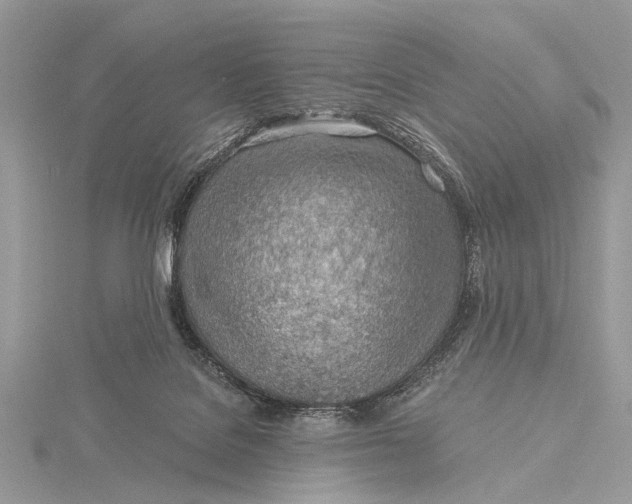 X0000115770076200912041440