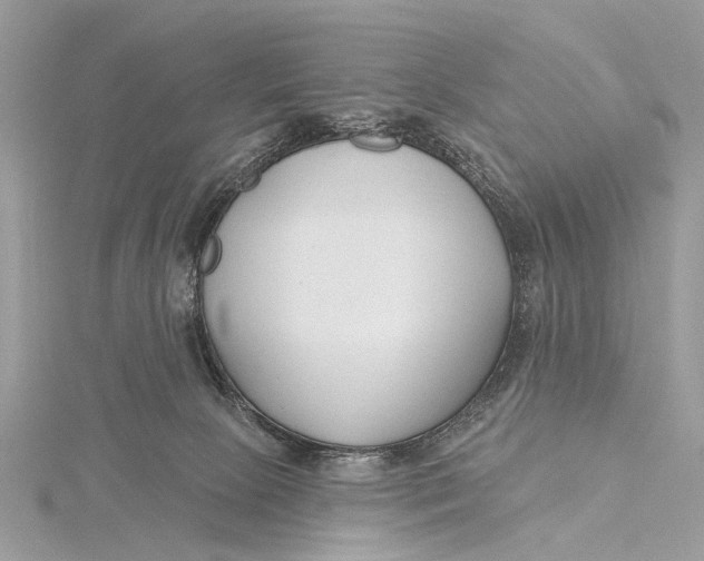 X0000115770081200912041440