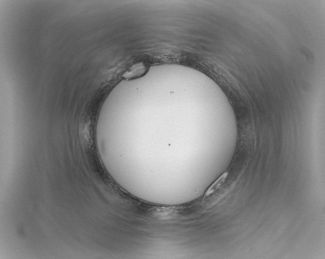 X0000115770088200912041440