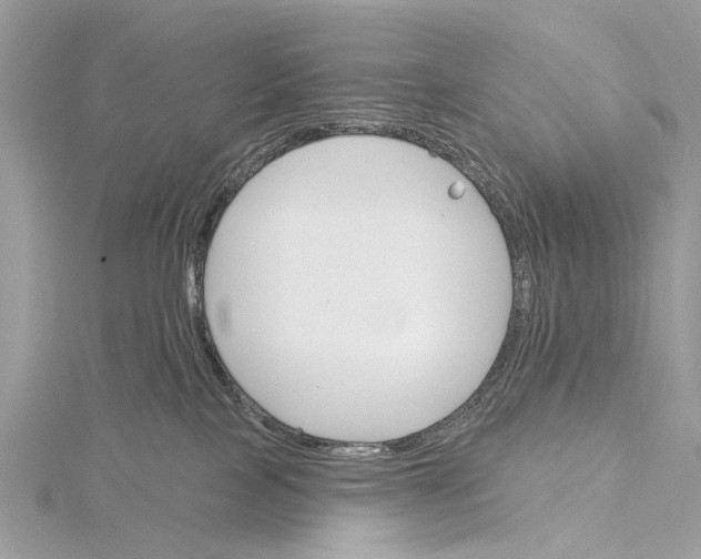 X0000115770089200912041440